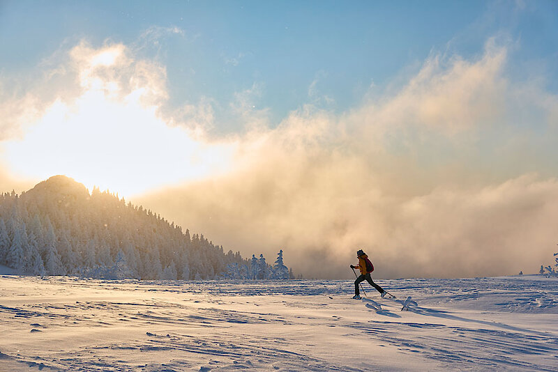 Langlauf im Bayerischen Wald